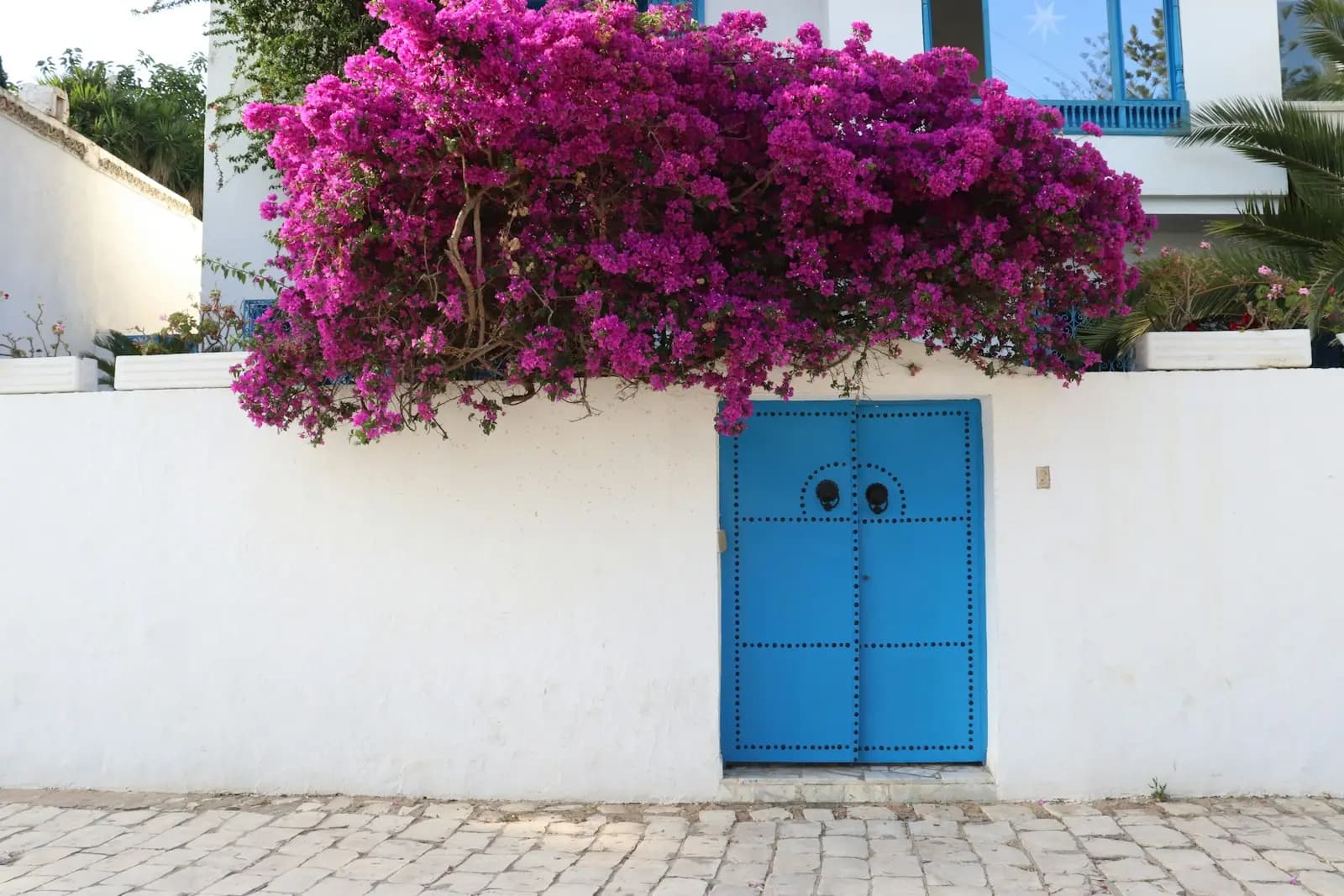 Photo d'illustration : Dar rénovée – Sidi Bou Saïd
